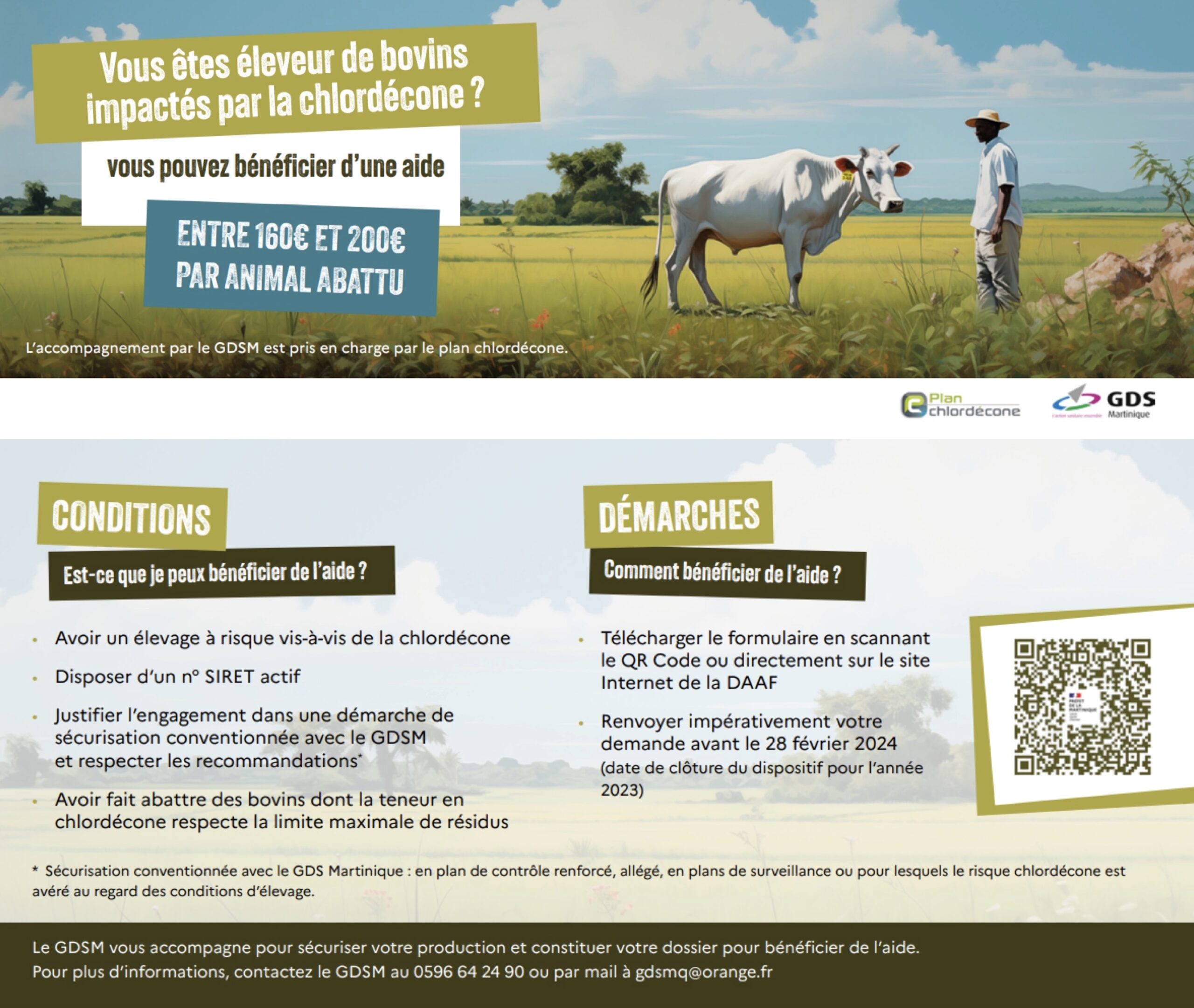 Chlordécone, un nouveau dispositif d’aide pour les éleveurs de bovins