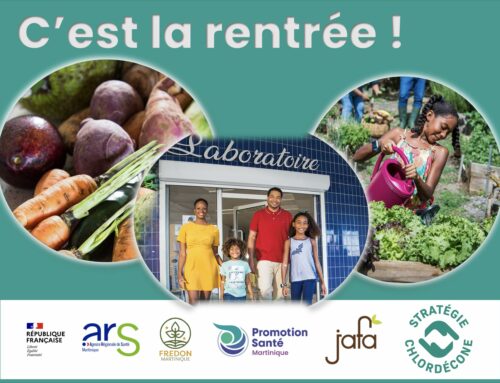Chlordécone : c’est la rentrée des ateliers !