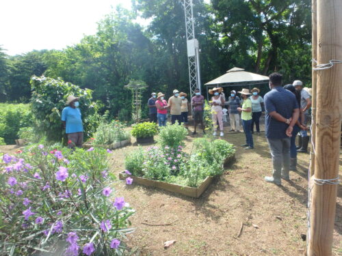 Atelier Jardinage - Jafa