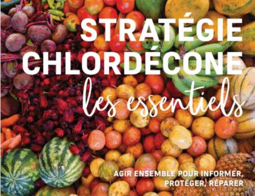 Stratégie chlordécone : les essentiels